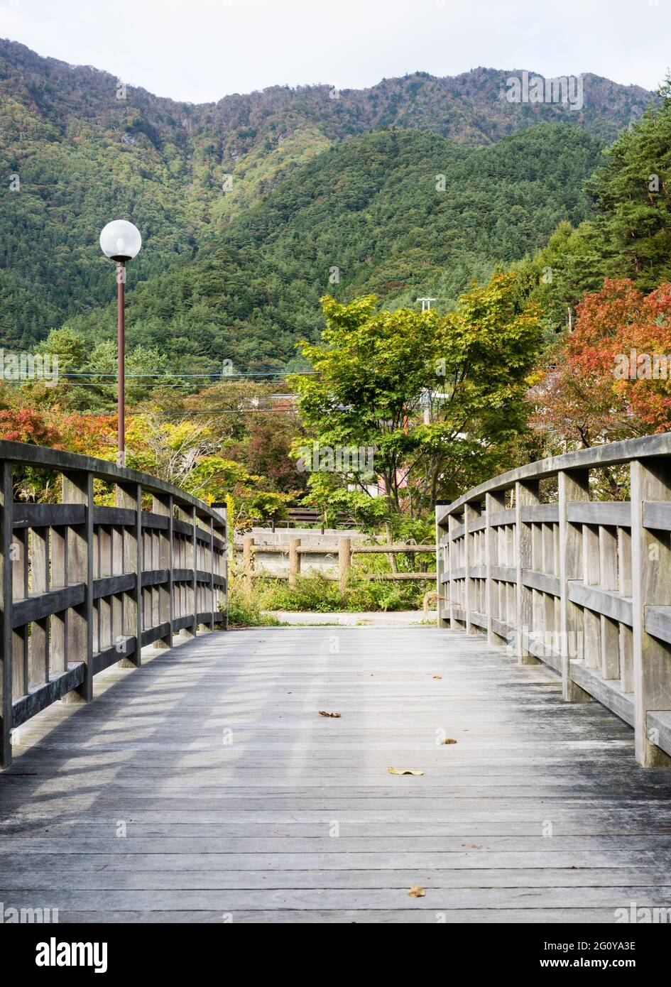 Ponte di legno e paesaggio di montagna al Lago Saiko - Fuji cinque Laghi, Giappone Foto Stock