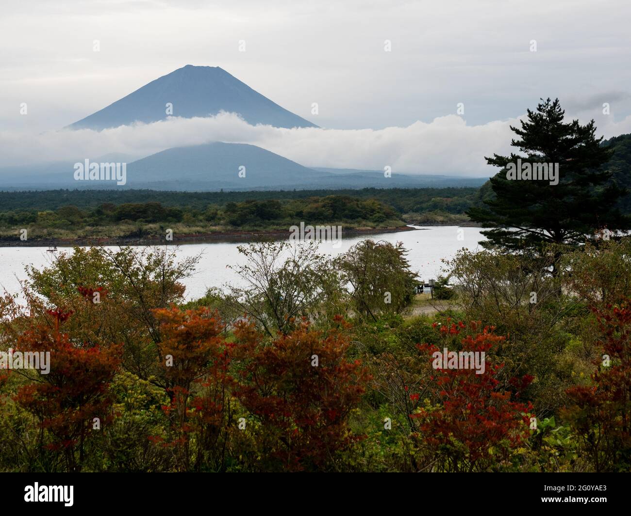 Silhouette del Monte Fuji al Lago Shojiko, uno dei cinque Laghi di Fuji - prefettura di Yamanashi, Giappone Foto Stock