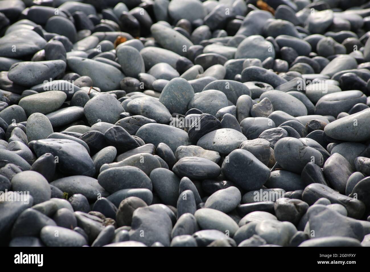 Pietre rotonde su un letto di fiume asciutto fuori nella natura. Ciottoli lisci con tonalità di grigio chiaro in luce ambiente. Foto Stock