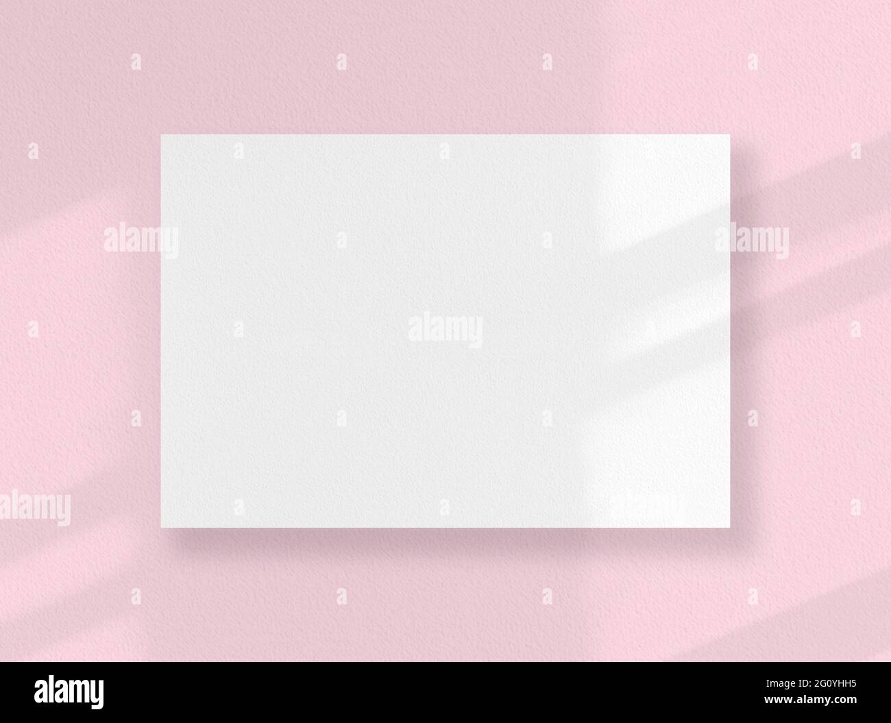 Cartoncino quadrato vuoto, foglio bianco come mockup con ombre assolate sulla superficie rosa Foto Stock