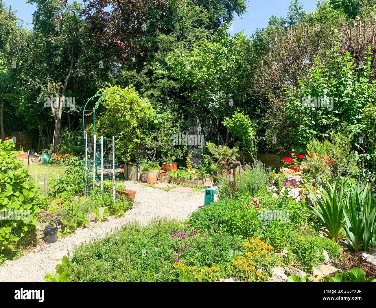 Piccolo giardino privato con verdure e fiori biologici in crescita, Bron, Francia Foto Stock