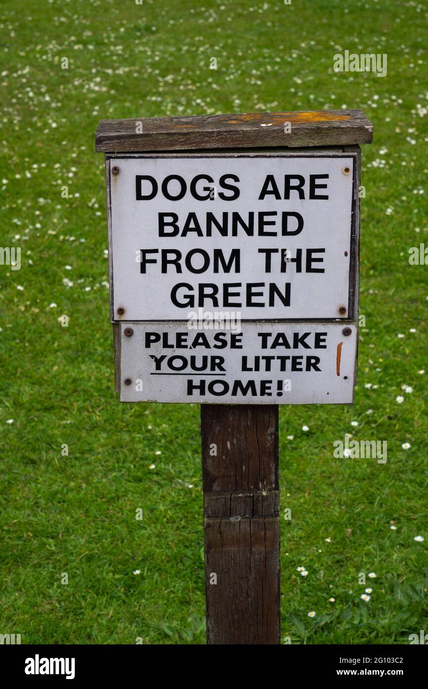 Un segno di legno che dice 'i cani sono vietati dal verde e portare la vostra cucciolata a casa' Foto Stock