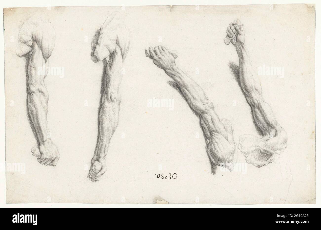 Quattro studi anatomici di un braccio destro. Foto Stock