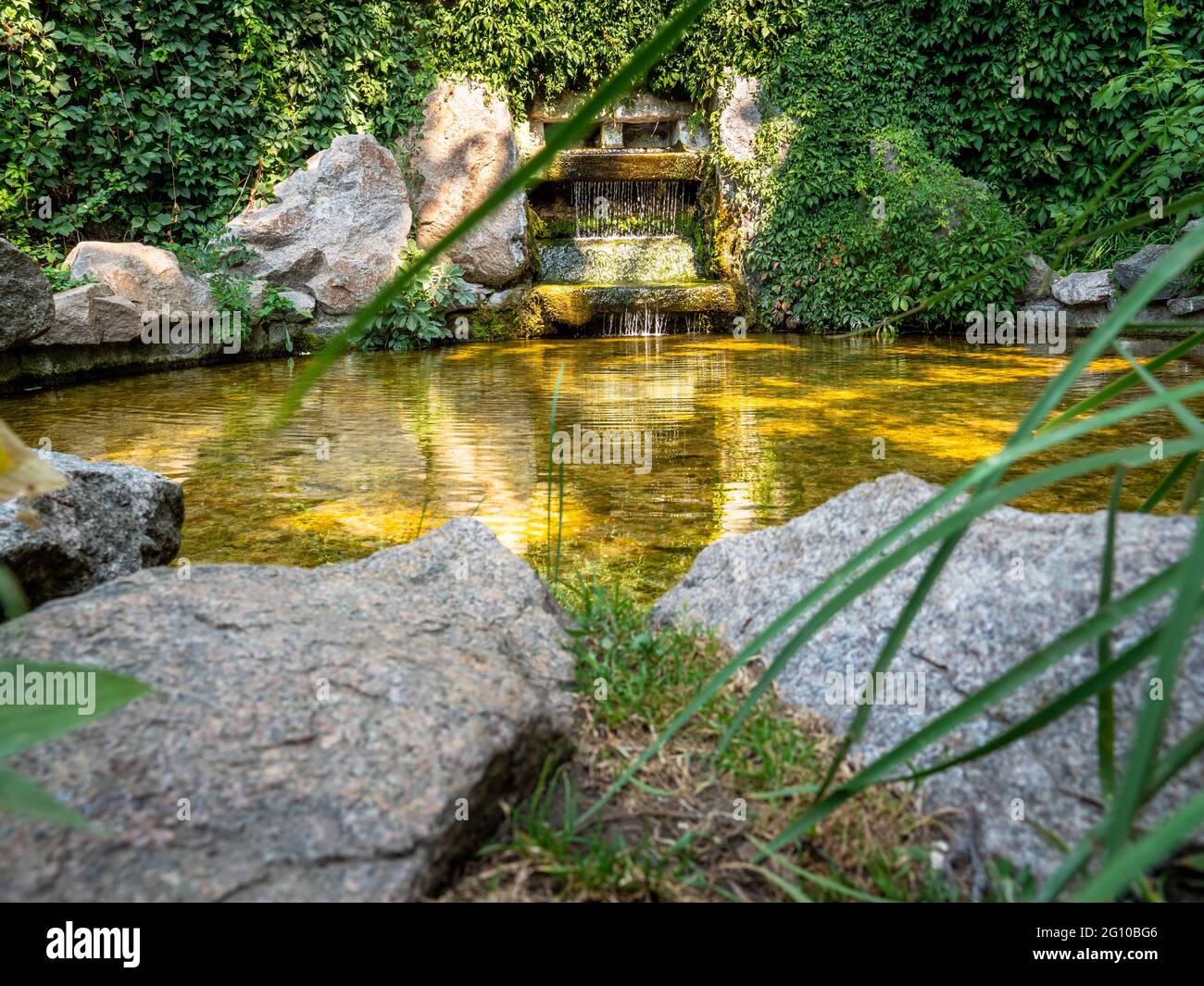 Vista attraverso il fogliame sopra la fontana della cascata in mezzo a verde strisciante con acqua che scorre in stagno a forma rotonda con bellissimo gioco di luce e ombra Foto Stock