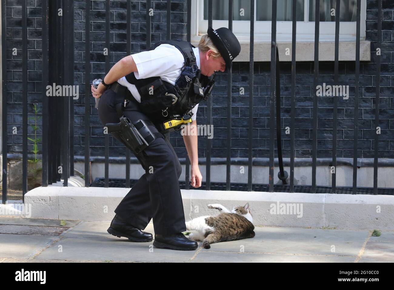 Londra, Inghilterra, Regno Unito. 2 Giugno 2021. Un poliziotto gioca con Larry, il gatto della sede del potere della politica britannica, Downing Street. Credit: Tayfun Salci/ZUMA Wire/Alamy Live News Foto Stock