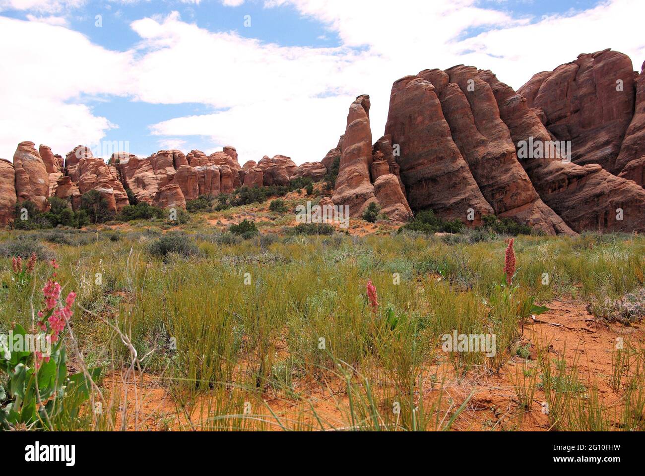 Vista delle formazioni di arenaria del Devil's Garden, Arches National Parlk, Utah, USA Foto Stock