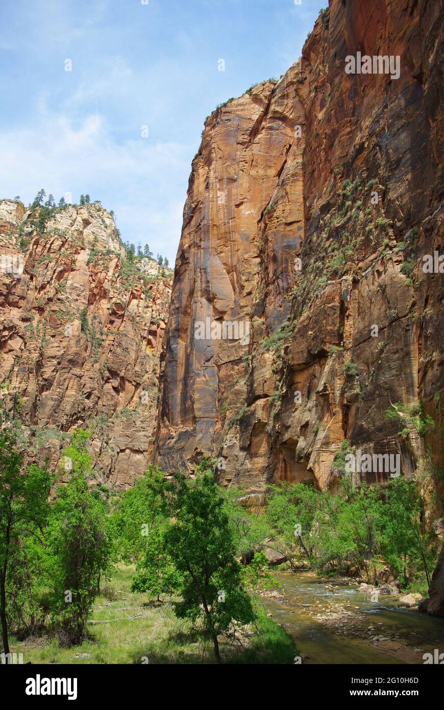Ripide pareti del canyon sopra il fiume Zion, Zion National Park, Stati Uniti Foto Stock