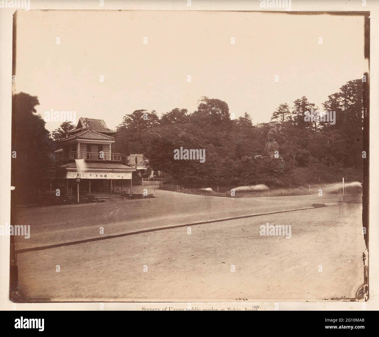 Vista di Daibutsu Yama nel Parco Ueno a Tokyo; scenario o Giardino pubblico Uyeno a Tokyo, Giappone. Foto Stock