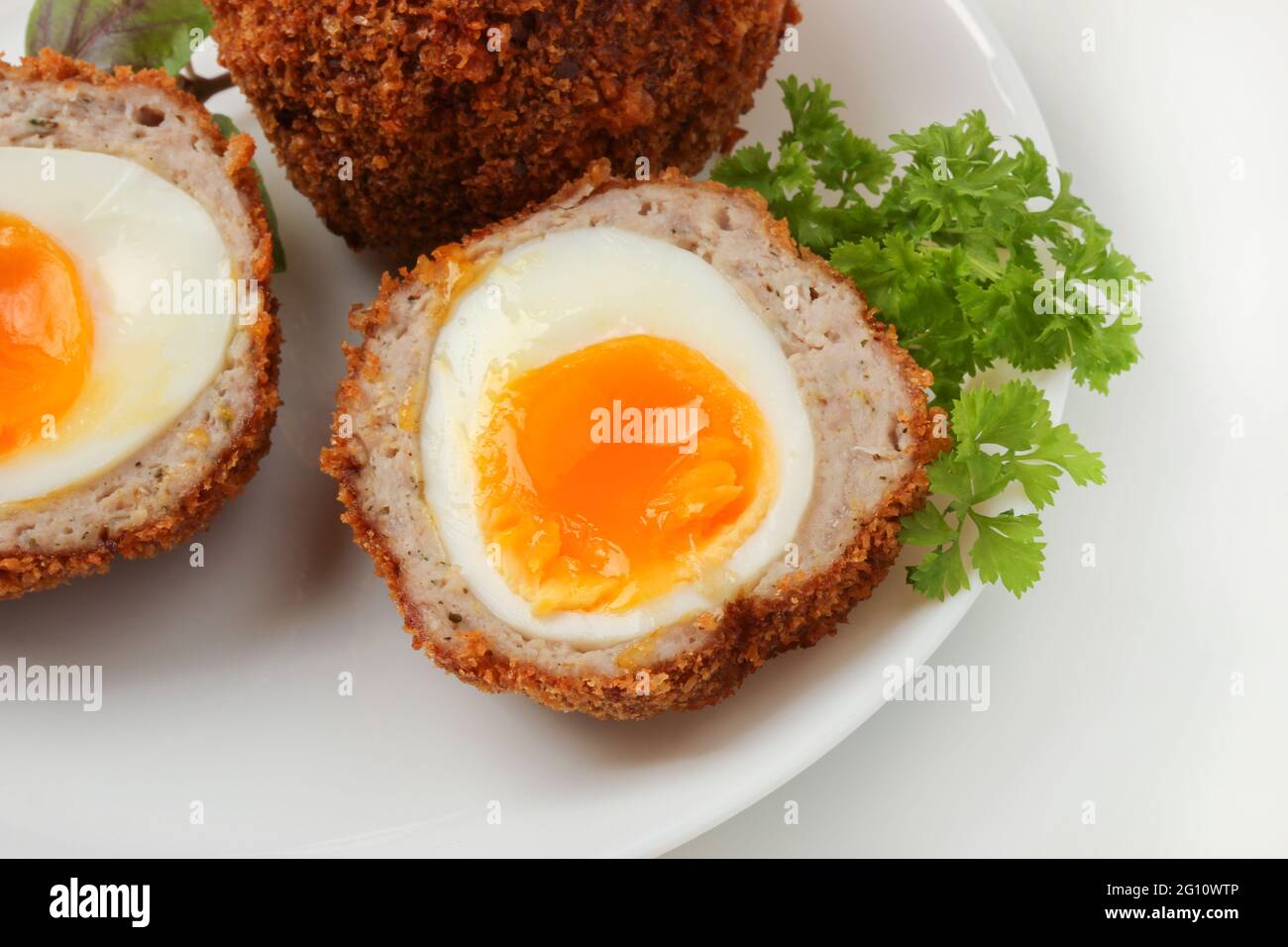 Uova scozzesi cotte su piatto di porcellana bianca da vicino Foto Stock