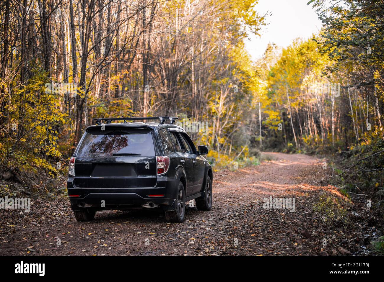 Subaru Forester in movimento sulla strada nella foresta d'autunno Foto Stock