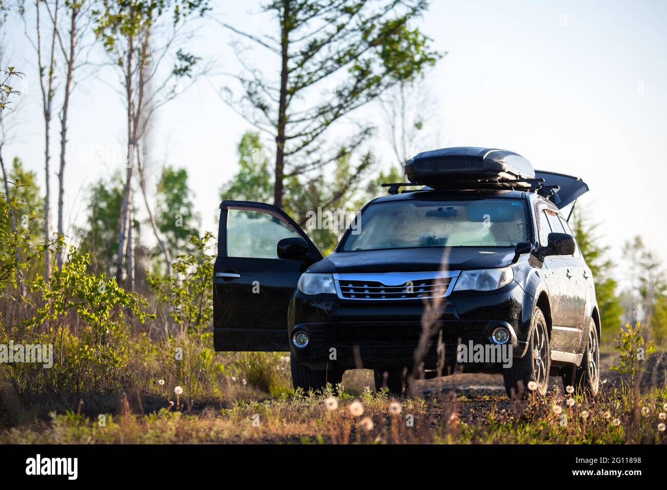 Subaru Forester con box tetto su strada sterrata nella foresta Foto Stock