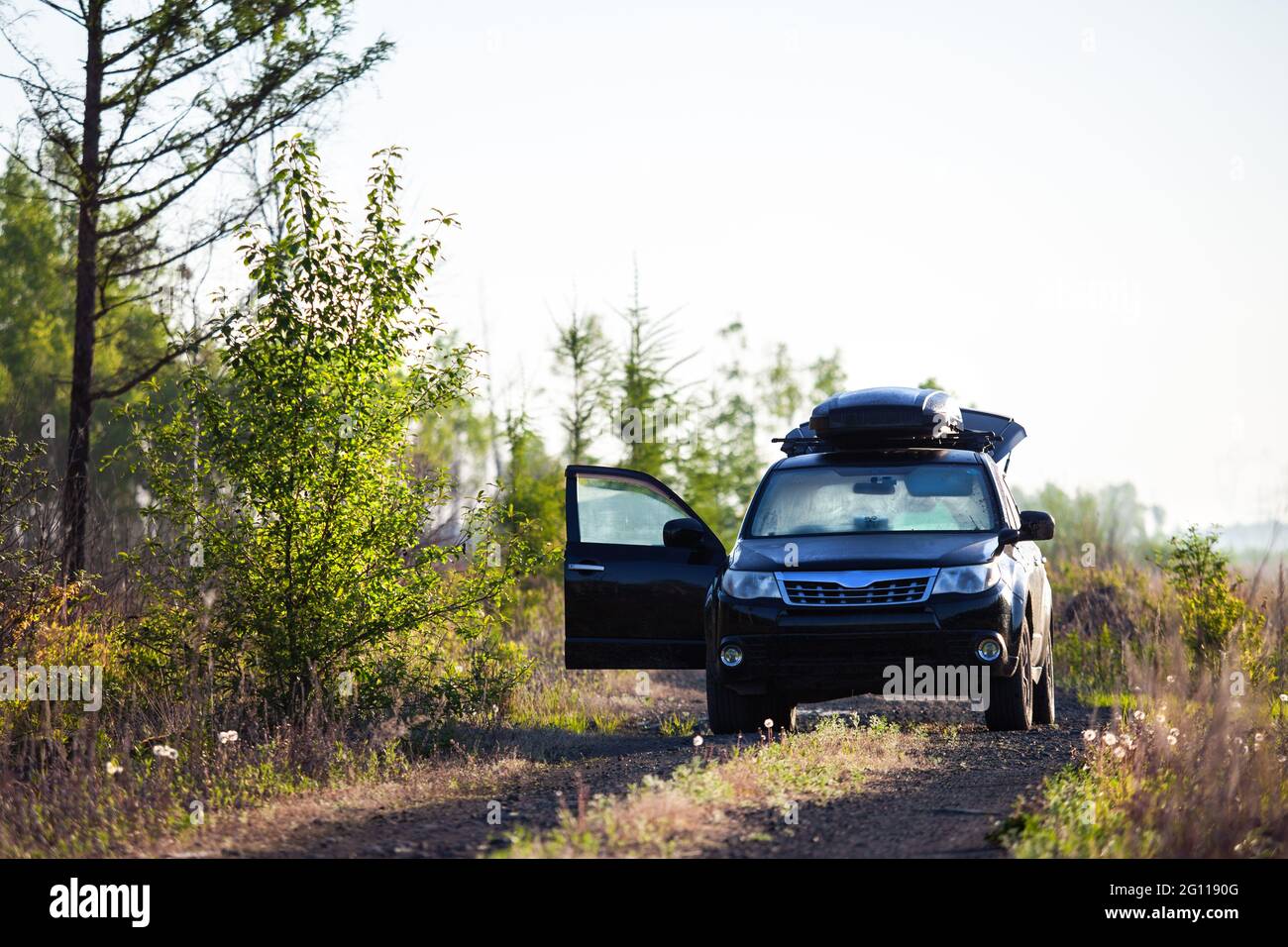 Subaru Forester con box tetto su strada sterrata nella foresta Foto Stock