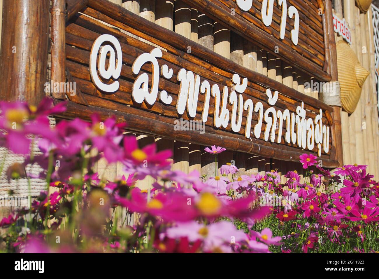 Le famose destinazioni di viaggio di Mae Hong Son Pha Bong Village nel nome locale tailandese è Sapankhao Kao Peu Sook. (Traduzione:Rice Field Bridge) Foto Stock