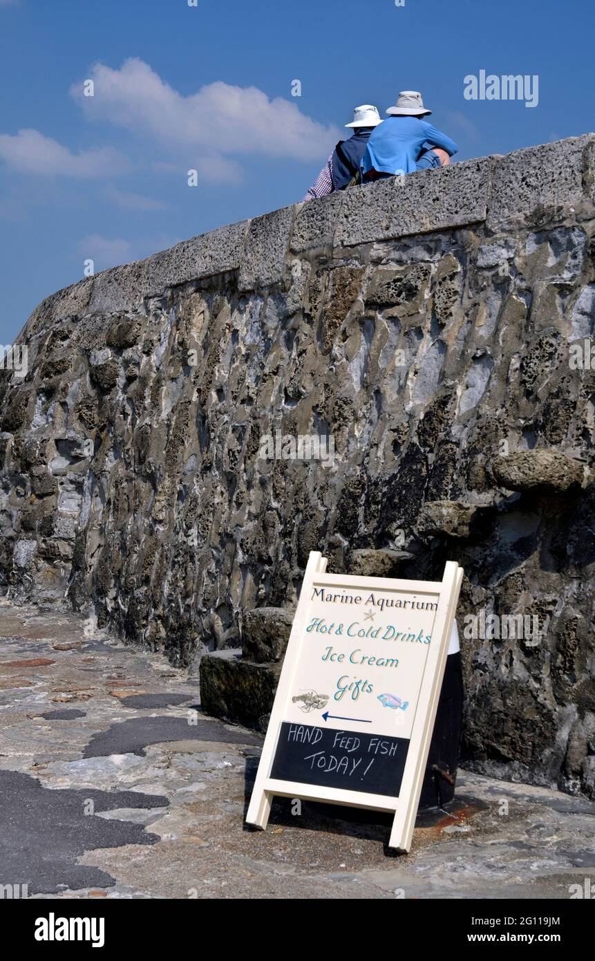 vacanzieri seduti sul muro di mare lyme regis dorset inghilterra Foto Stock