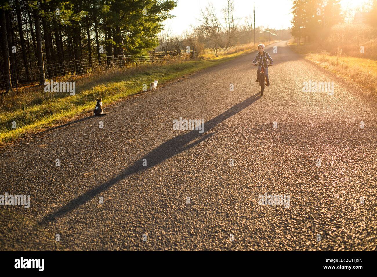 Canada, Ontario, Boy in bicicletta su strada rurale al tramonto Foto Stock