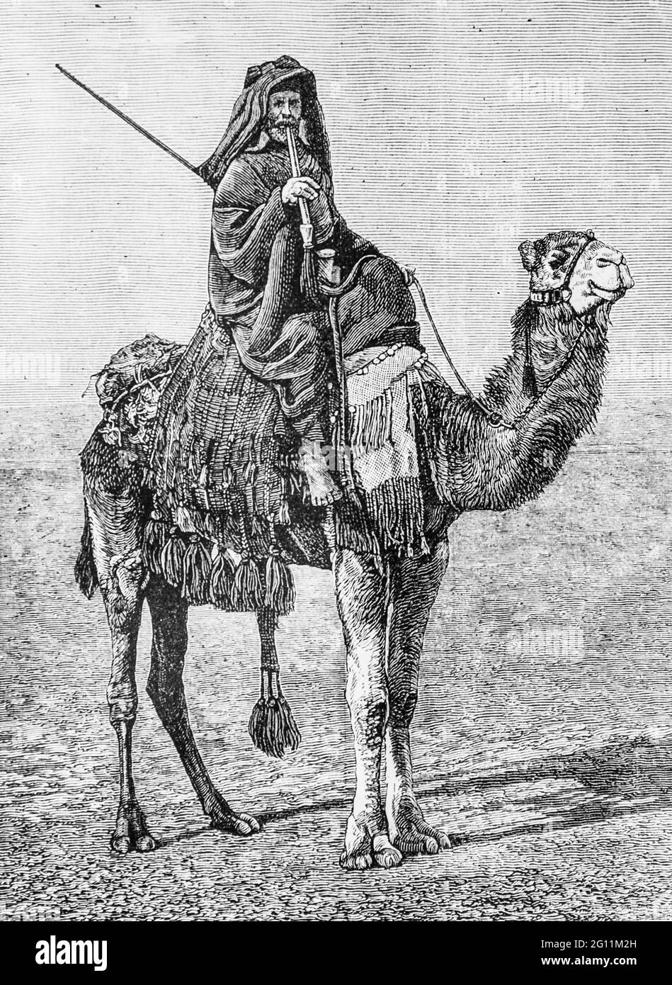 bedouin sur un chameau, l'univers illustre 1882, editeur librairie nouvelle Foto Stock