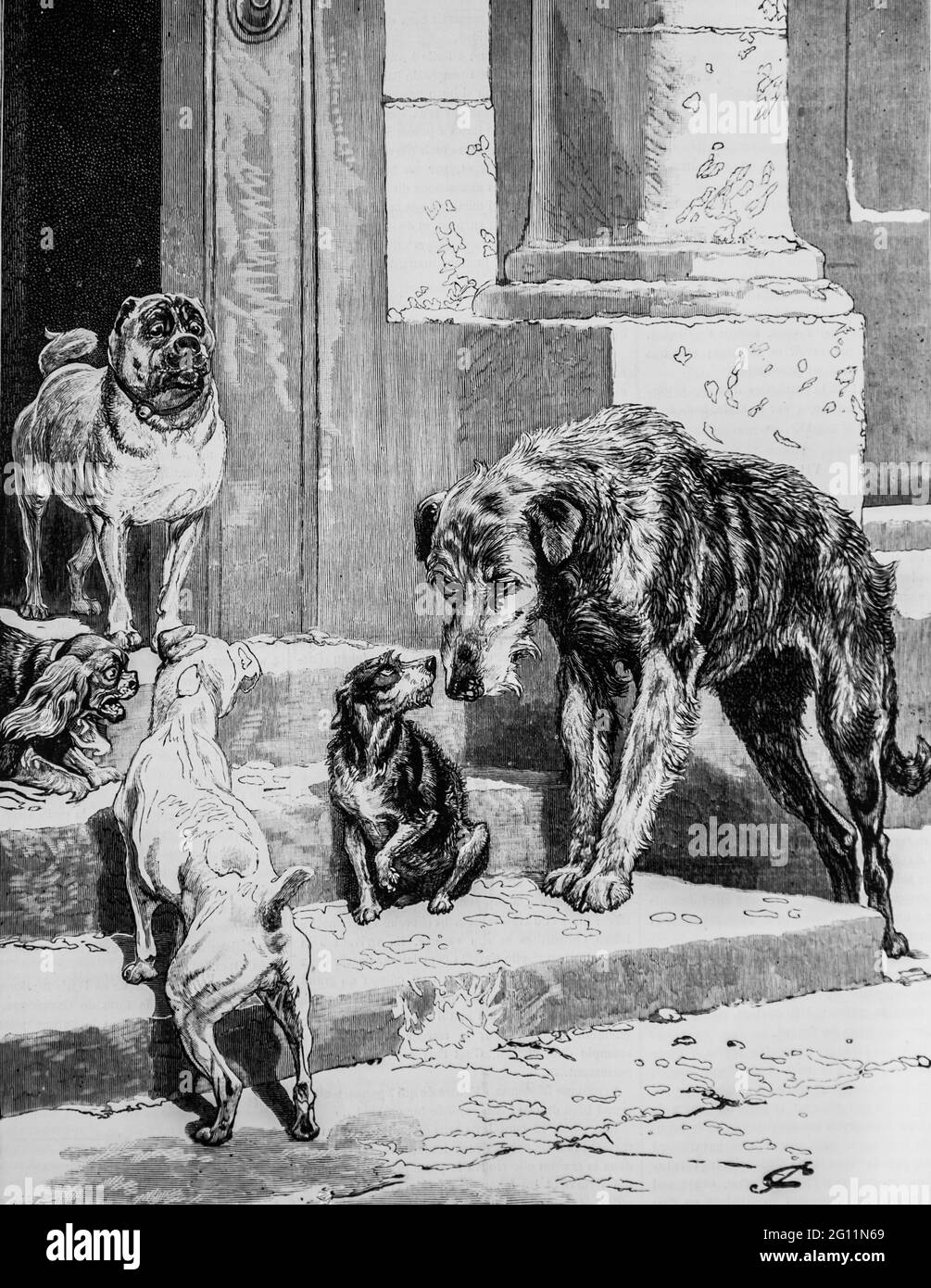 opulence et misere des chiens, l'univers illustre 1882,editeur librairie nouvelle Foto Stock