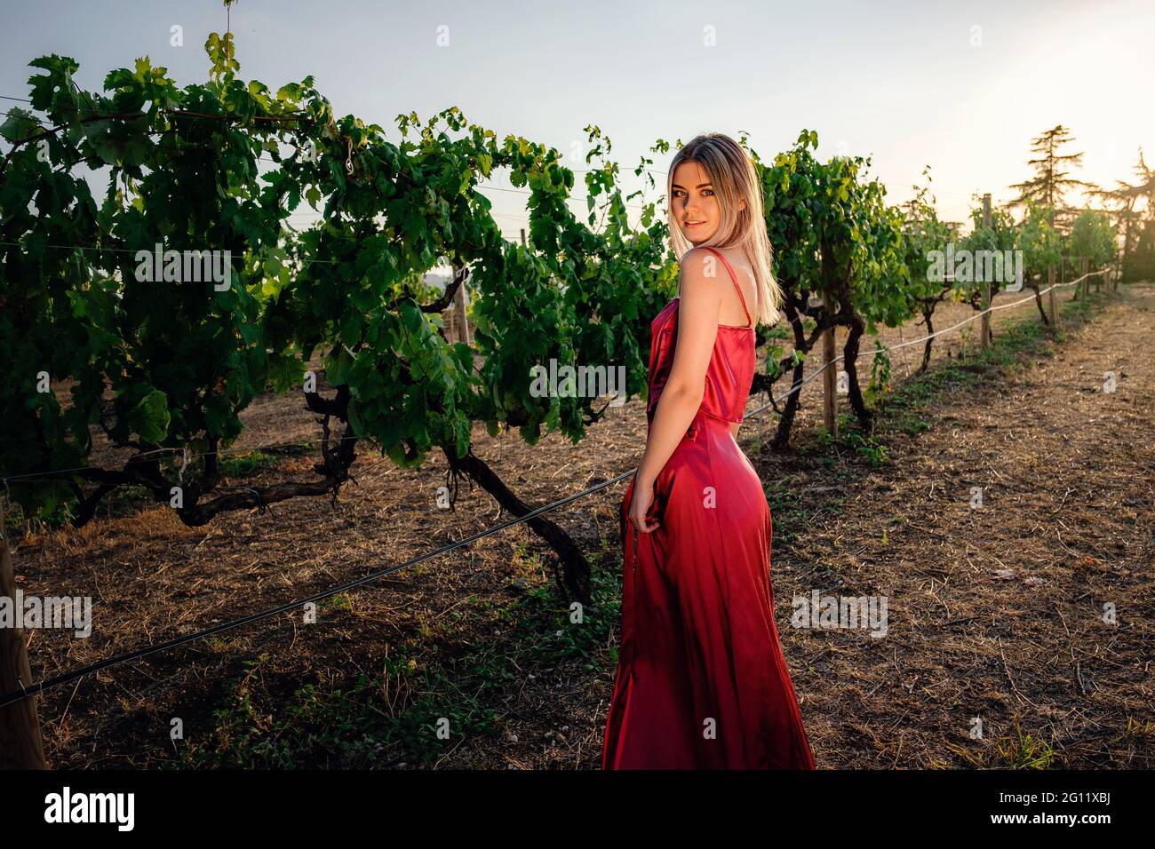 Ritratto di giovane beauty lady in abito rosso nei vigneti nella stagione estiva. Godendo di degustazione tour nella splendida regione vinicola. Foto Stock