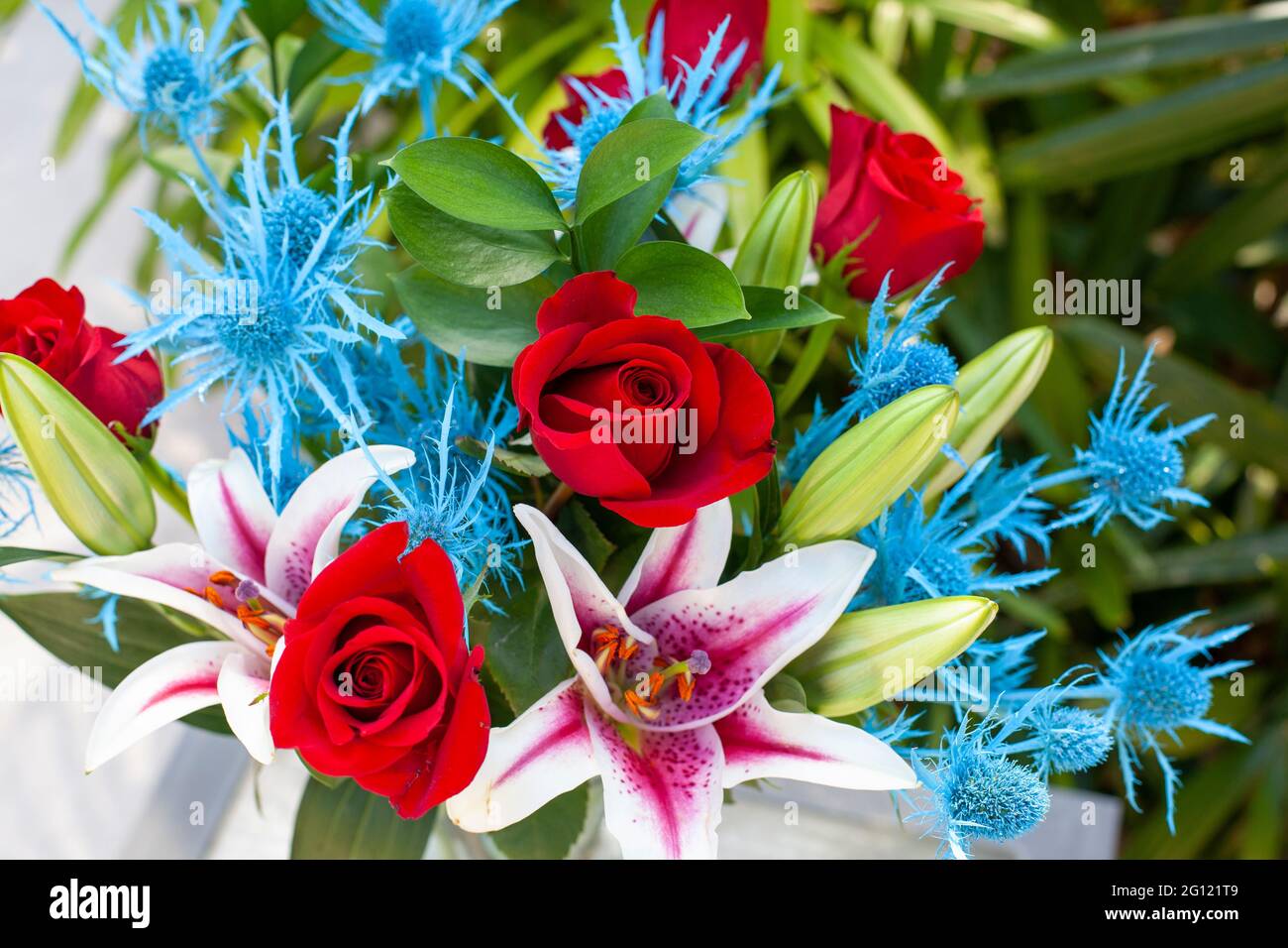 Un primo piano di due giglio di tigre bianche con vene violette profonde nei petali con rose rosse e agrifoglio del mare alpino. Foto Stock