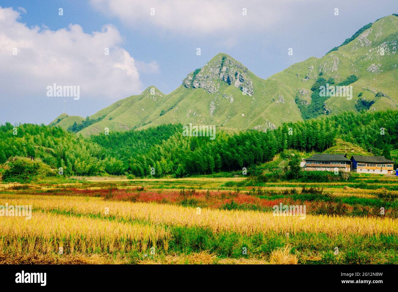 Paesaggio pastorale autunnale con lo sfondo delle montagne Foto Stock