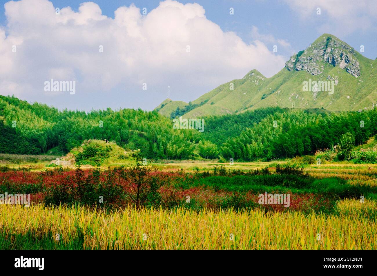 Paesaggio pastorale autunnale con lo sfondo delle montagne Foto Stock