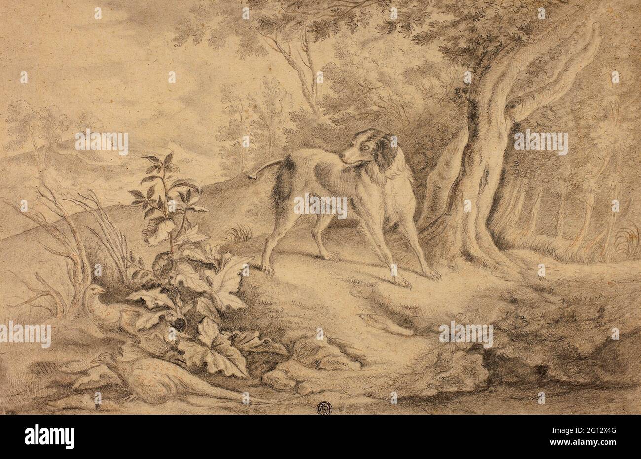 James Barenger, il più giovane. Cane da caccia in Woods - attribuito a James Barenger, il giovane inglese, 1780-dopo il 1831. Pastello nero con gesso rosso Foto Stock