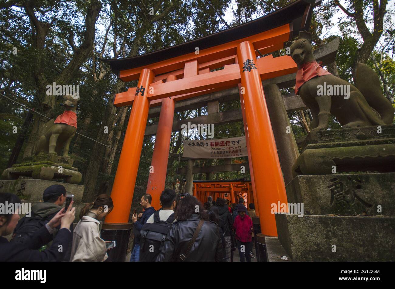 KYOTO, GIAPPONE - 13 dicembre 2019: Kyoto, Giappone - 25 novembre 2019: Turisti in visita al santuario di Fushimi Inari. Fushimi Inari Taisha è il santuario principale di Inari, loc Foto Stock