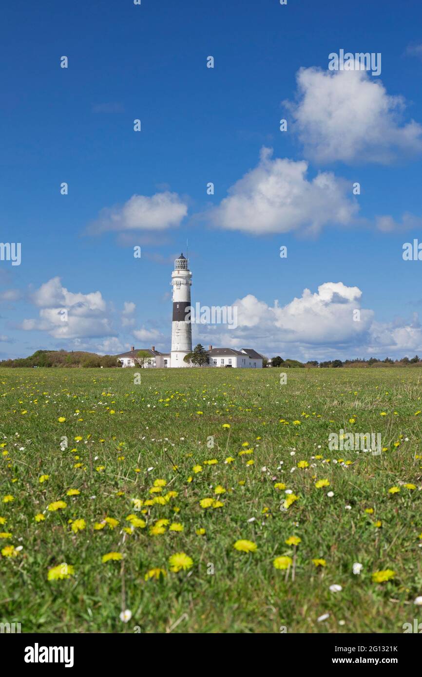 Faro di Kampen sull'isola Frisia settentrionale di Sylt, Nordfriesland, Schleswig-Holstein, Germania Foto Stock
