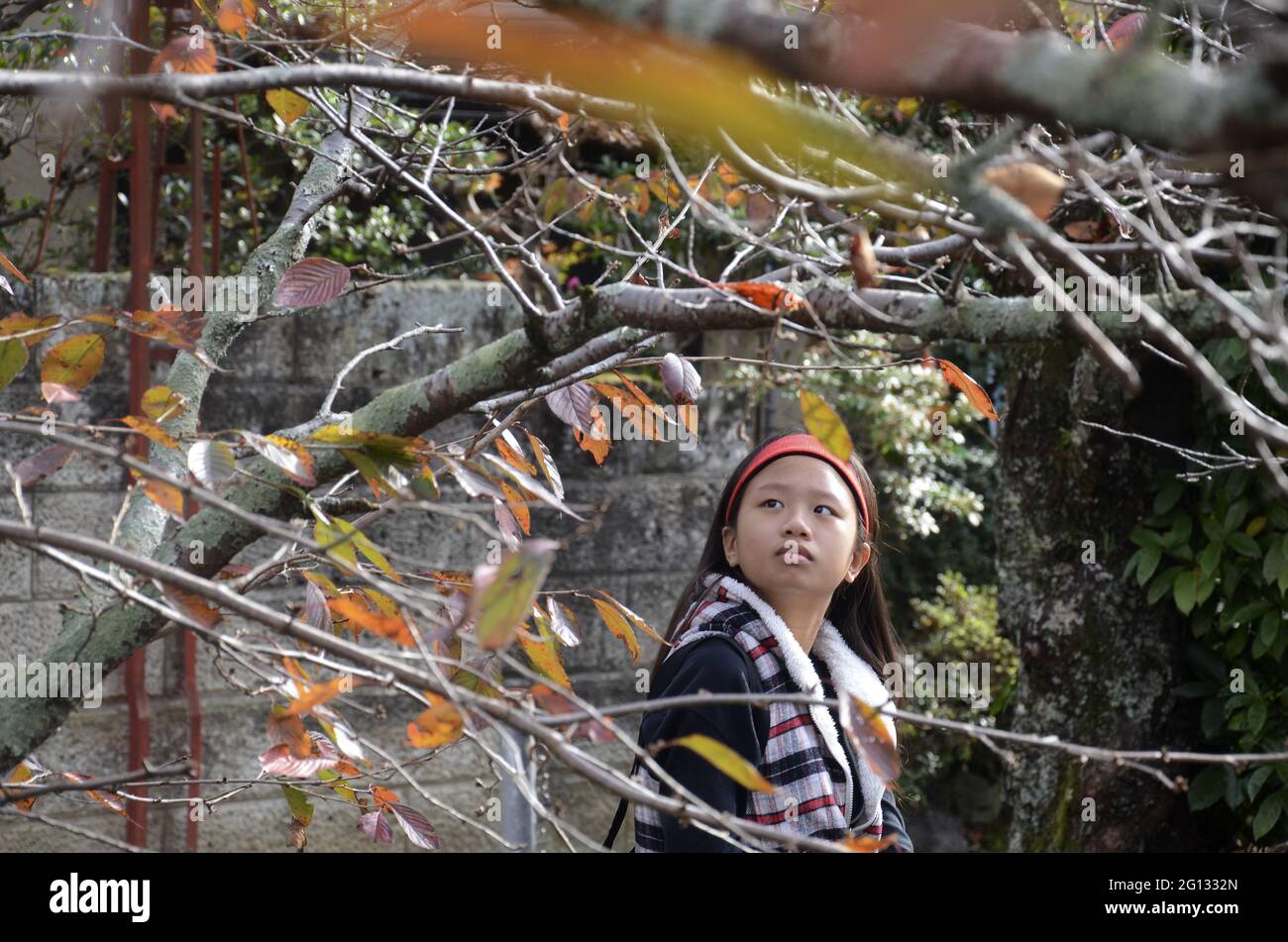 KYO, GIAPPONE - 10 dicembre 2019: Kyoto, Giappone - 24 novembre 2019: Un giovane adolescente Godetevi la bellezza del viaggio autunnale al percorso filosofale di Kyoto, Giappone. Foto Stock