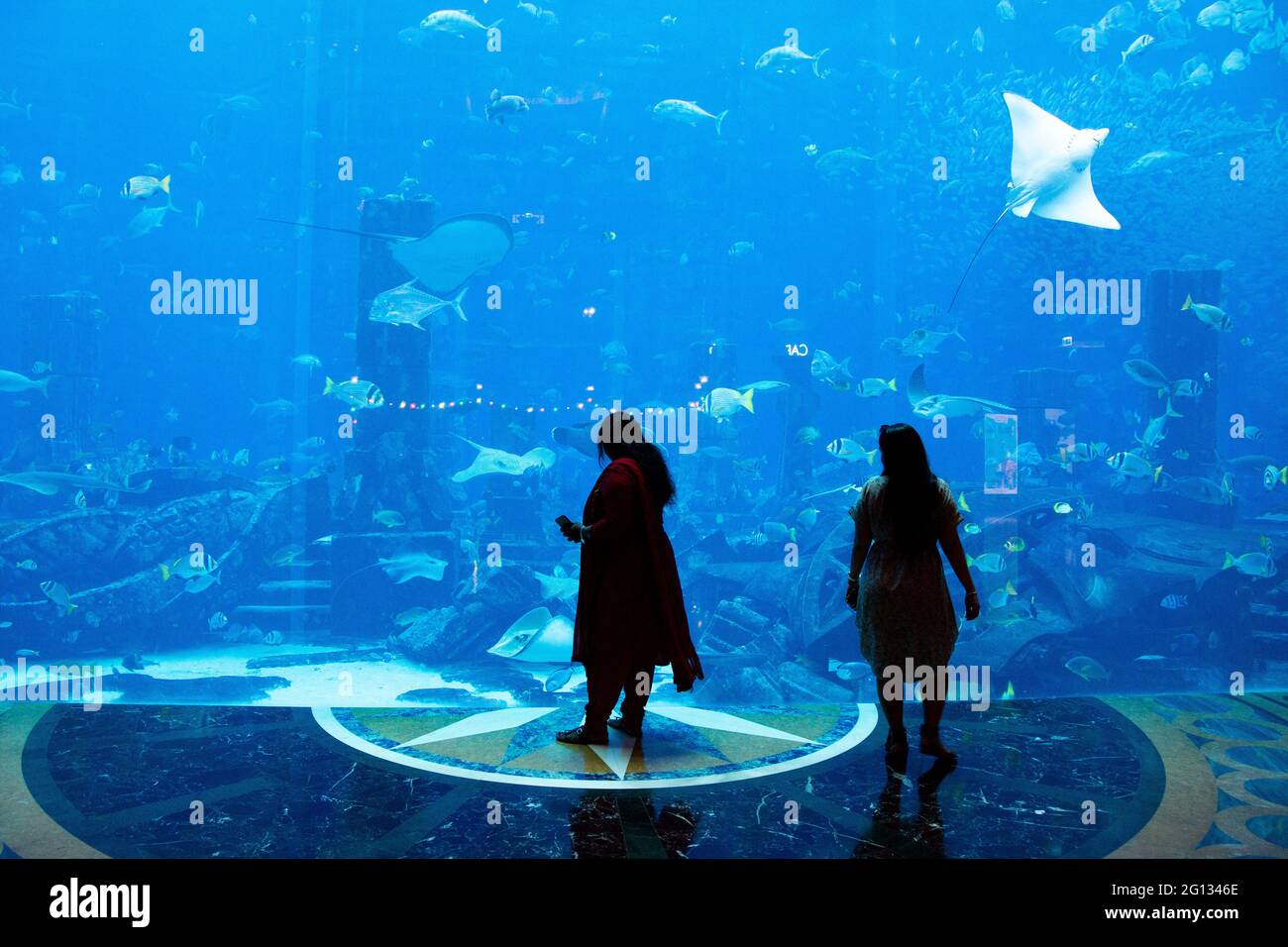 I visitatori ammirano il pesce al resort di lusso Atlantis a Palm Jumeirah, Dubai. 2.Dec. 2018 Foto Stock