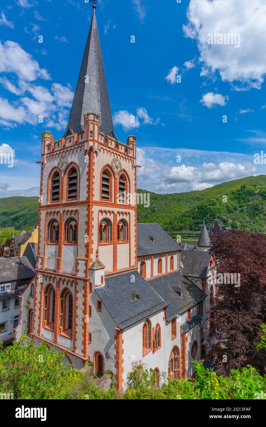 Chiesa di San Pietro´s di Bacharach, alta Valle del Medio Reno, Patrimonio Mondiale dell'UNESCO, Renania-Palatinato, Germania Foto Stock