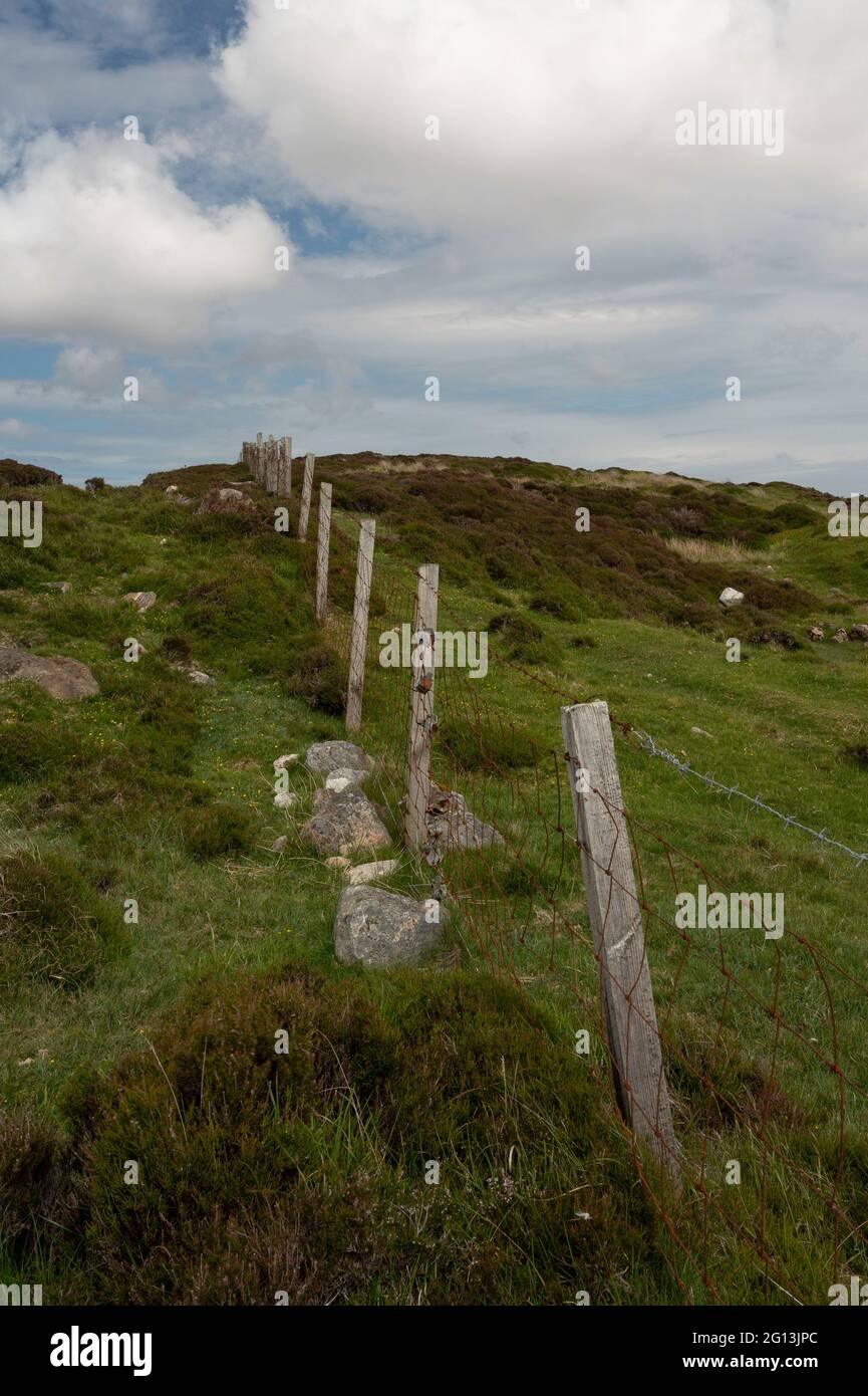 Linea di pali di recinzione di fattoria di legno con filo spinato arrugginito e recinzione di filo che salono su una collina. Paesaggio rurale e ruvido con erba, erica e rocce. Soleggiata Foto Stock