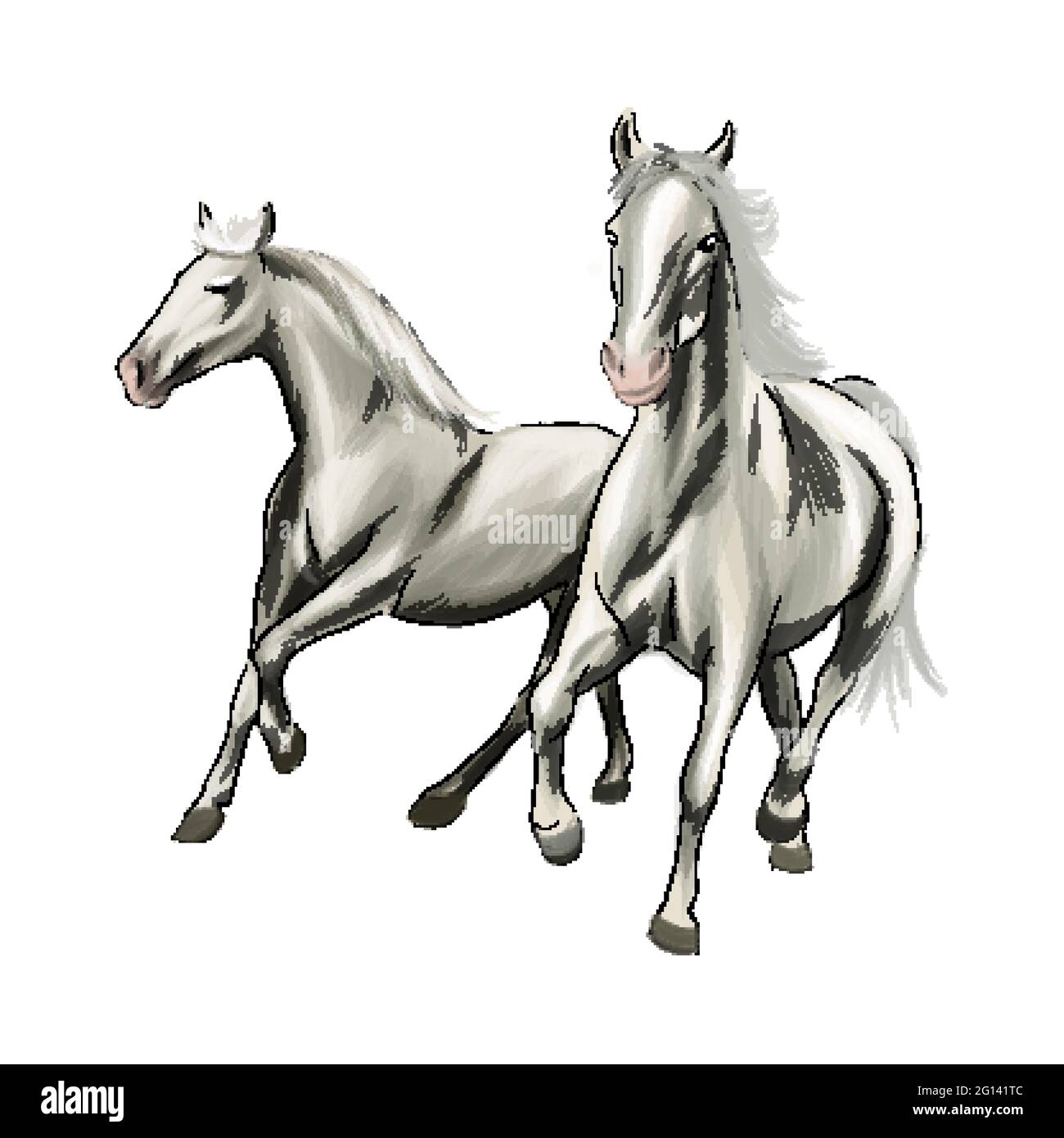 Disegno Cavalli Che Corrono 100+] Immagini Di Cavalli In Bianco E Nero