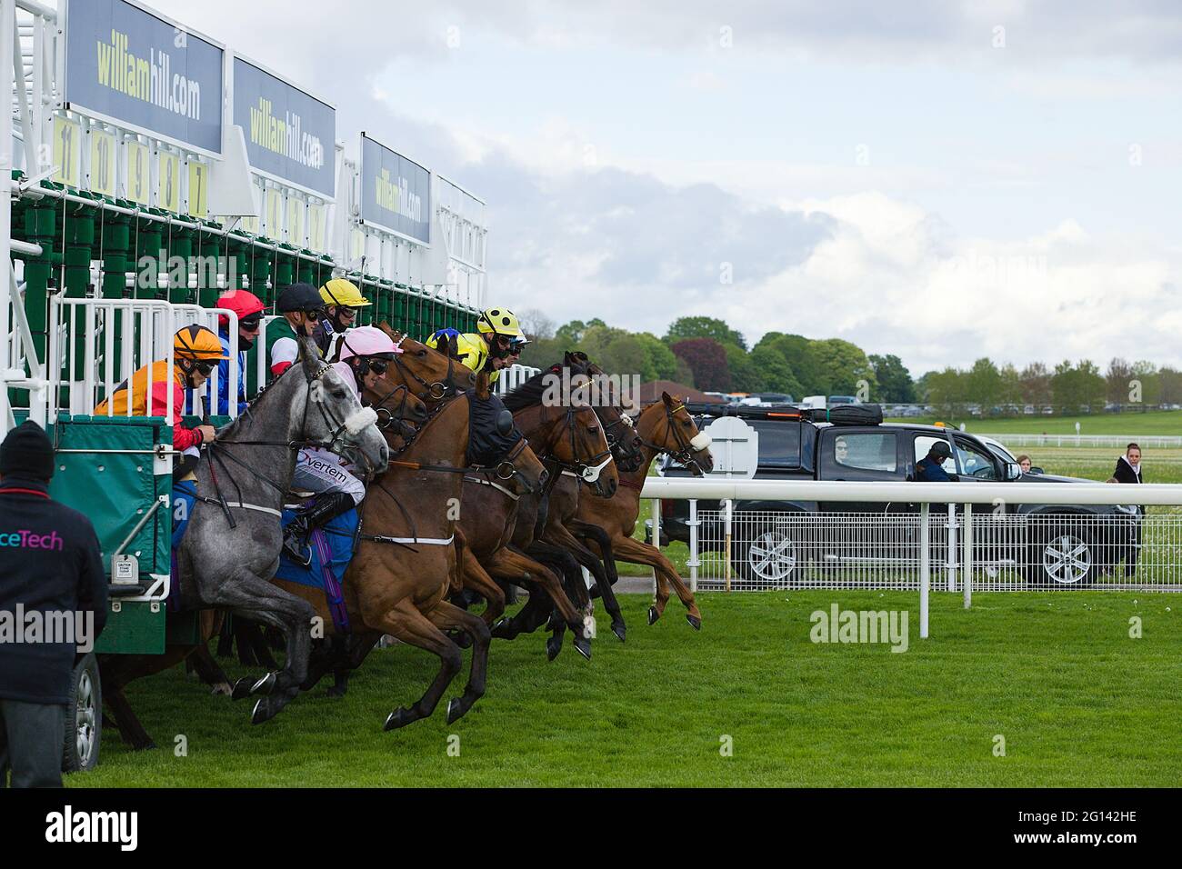 Cavalli che lasciano il cancello di partenza all'Ippodromo di York. Foto Stock