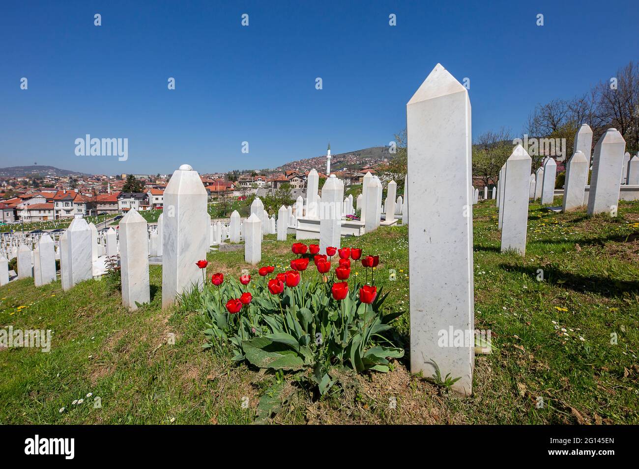 Cimitero musulmano di Kovaci dedicato alle vittime della guerra bosniaca, a Sarajevo, Bosnia-Erzegovina. Foto Stock