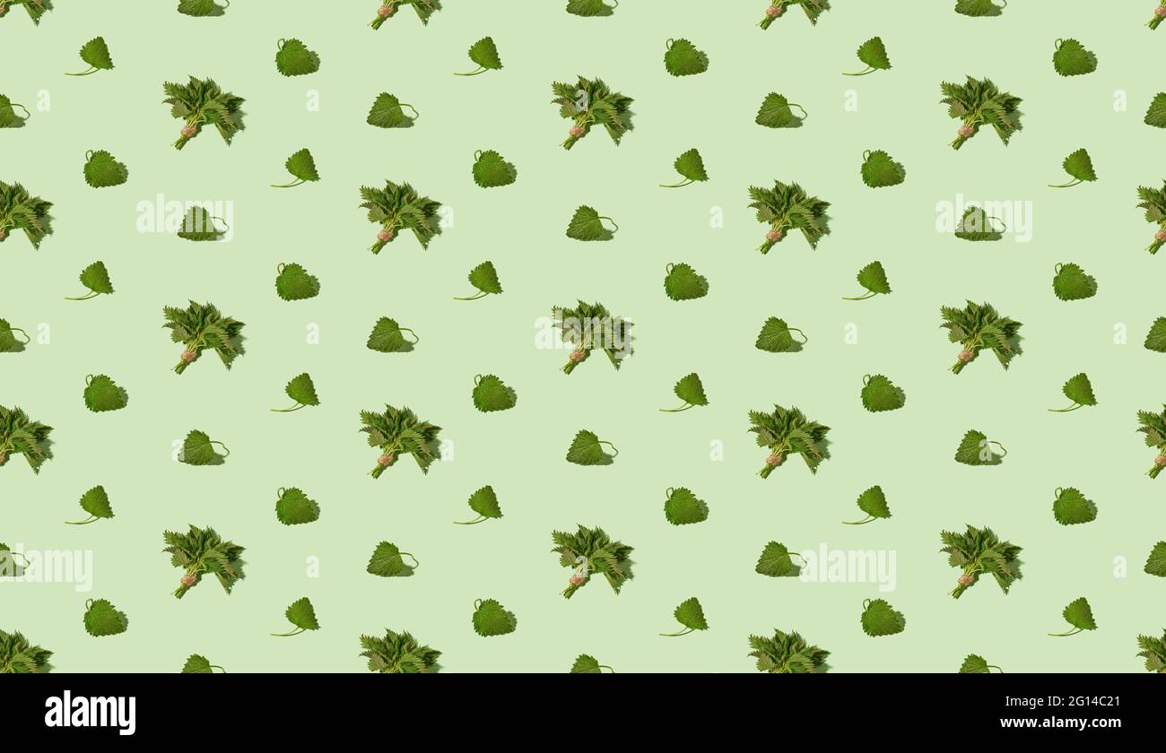 Modello isometrico senza cuciture con nettle a cerniera fresche. Concetto di foraging o piante medicinali. Foto Stock