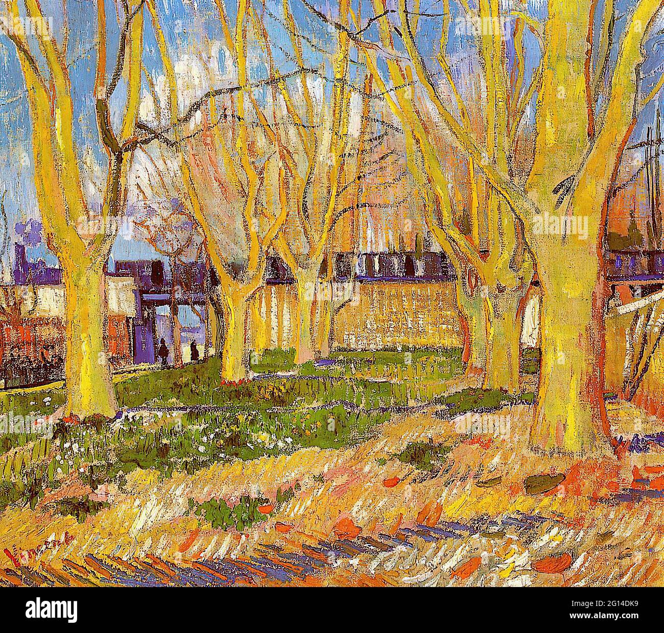 Vincent Van Gogh - Avenue platani alberi vicino Arles Stazione 1888 Foto Stock