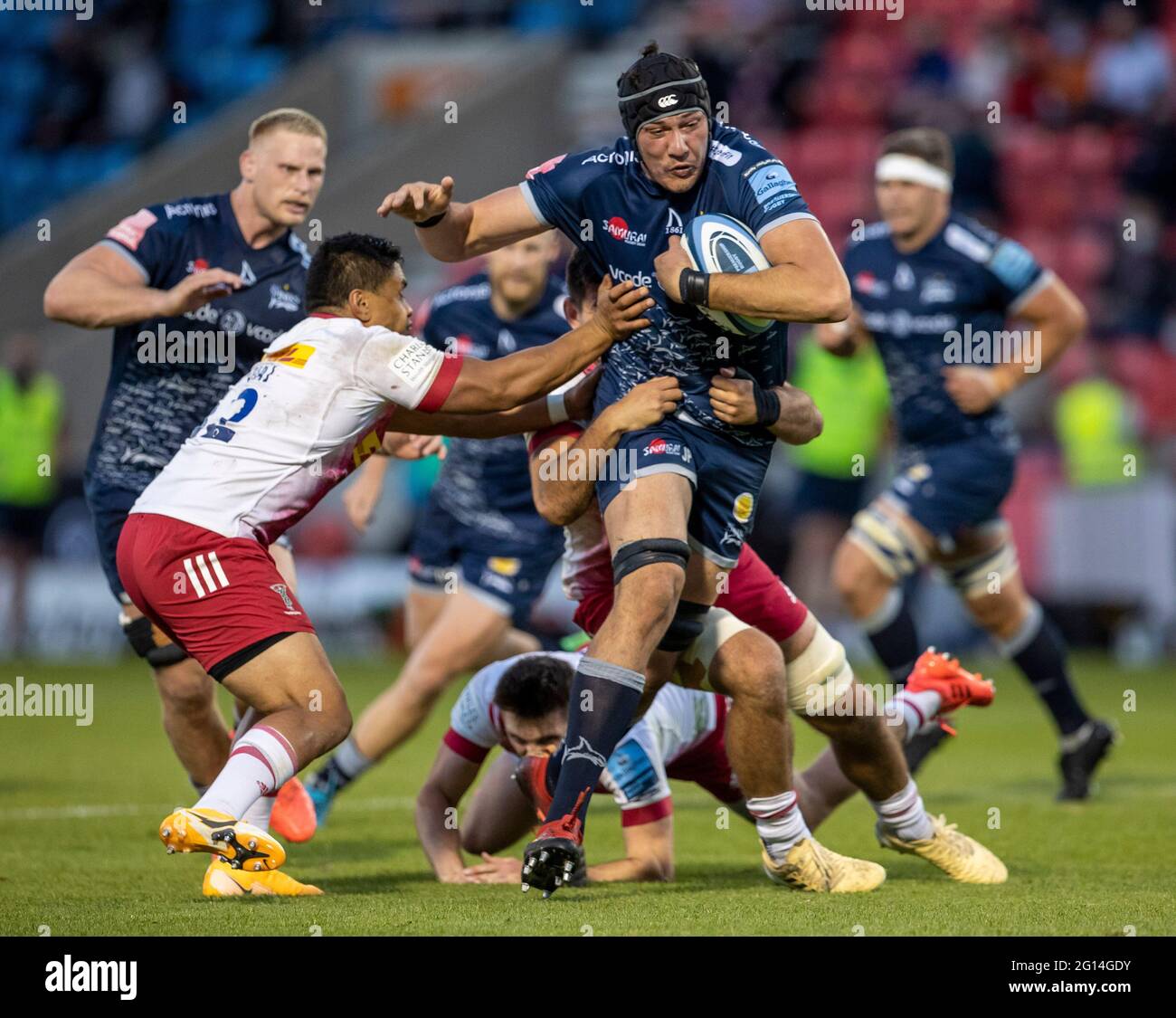 Salford, Regno Unito. 04 giugno 2021. 4 giugno 2021; AJ Bell Stadium, Salford, Lancashire, Inghilterra; Inglese Premiership Rugby, vendita squali contro Harlequins; JP du Preez di vendita squali è affrontato credito: Action Plus Sport Images/Alamy Live News Foto Stock