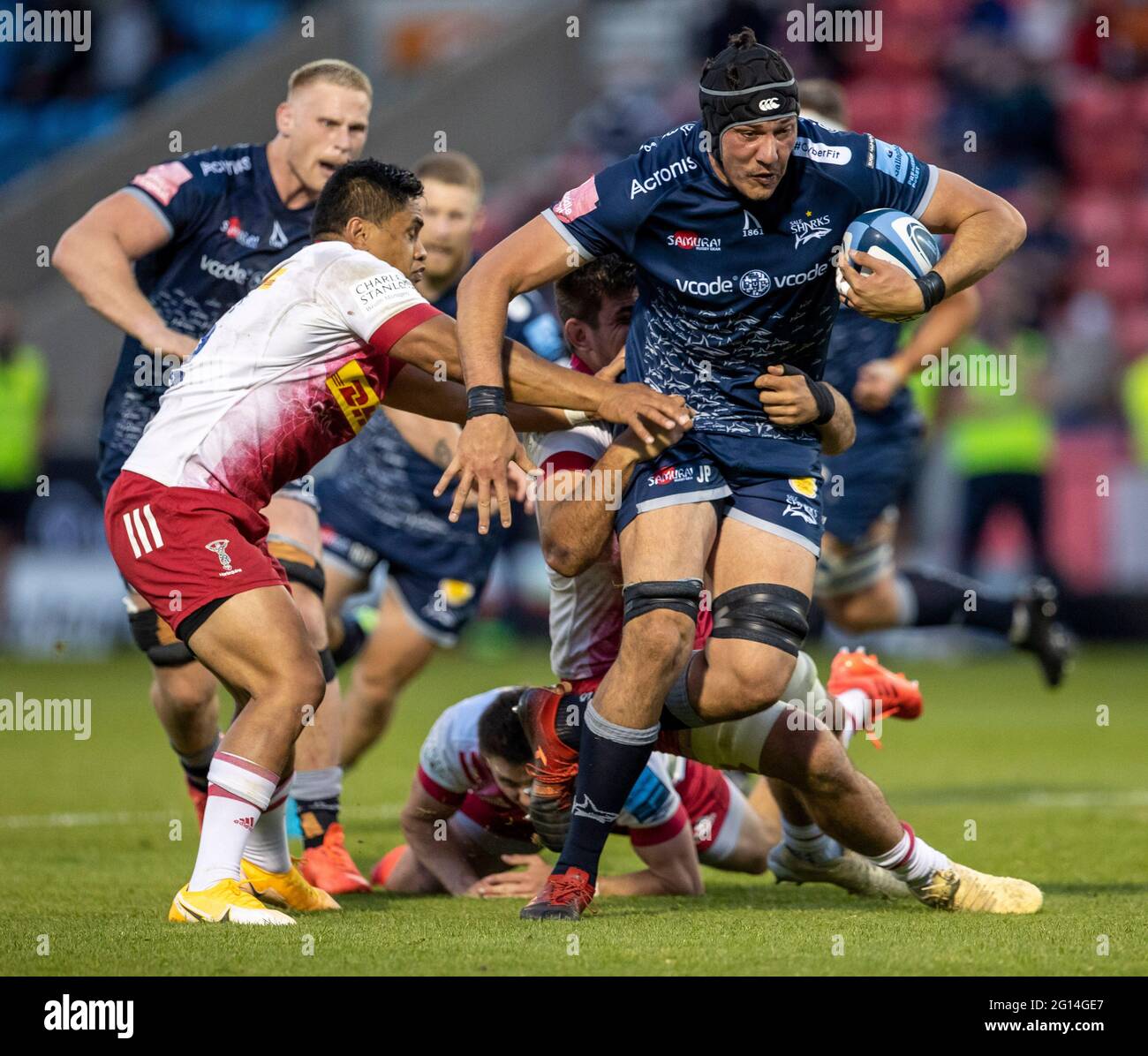 Salford, Regno Unito. 04 giugno 2021. 4 giugno 2021; AJ Bell Stadium, Salford, Lancashire, Inghilterra; Inglese Premiership Rugby, vendita squali contro Harlequins; JP du Preez di vendita squali è affrontato credito: Action Plus Sport Images/Alamy Live News Foto Stock