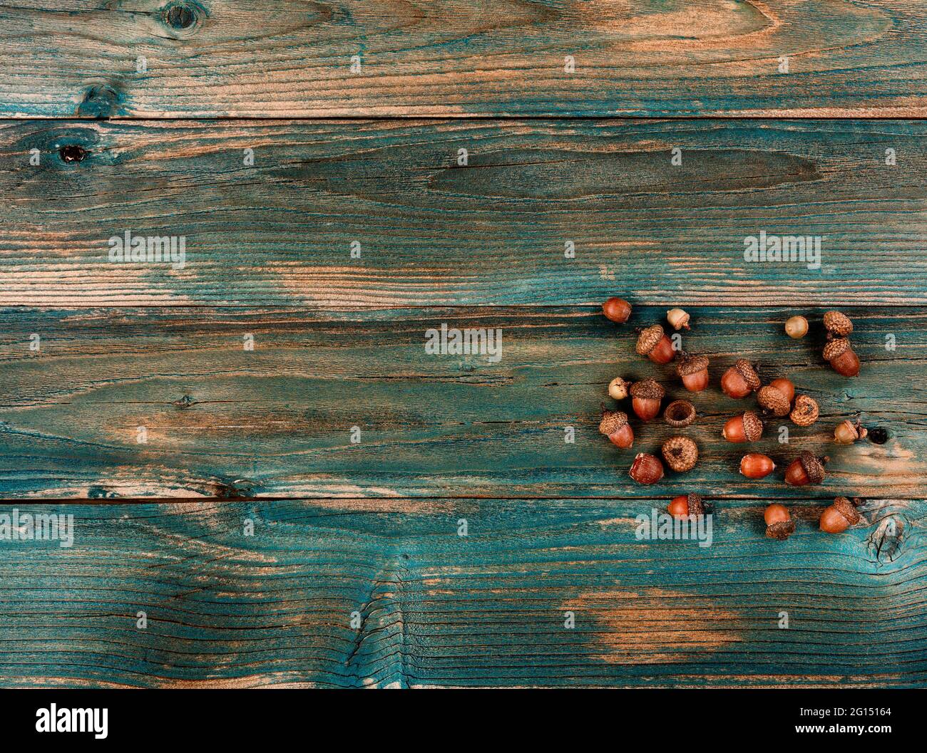 Ghiande invecchiate su tavole di legno blu sbiadite per uno sfondo di concetto di festa di Halloween o di Ringraziamento Foto Stock