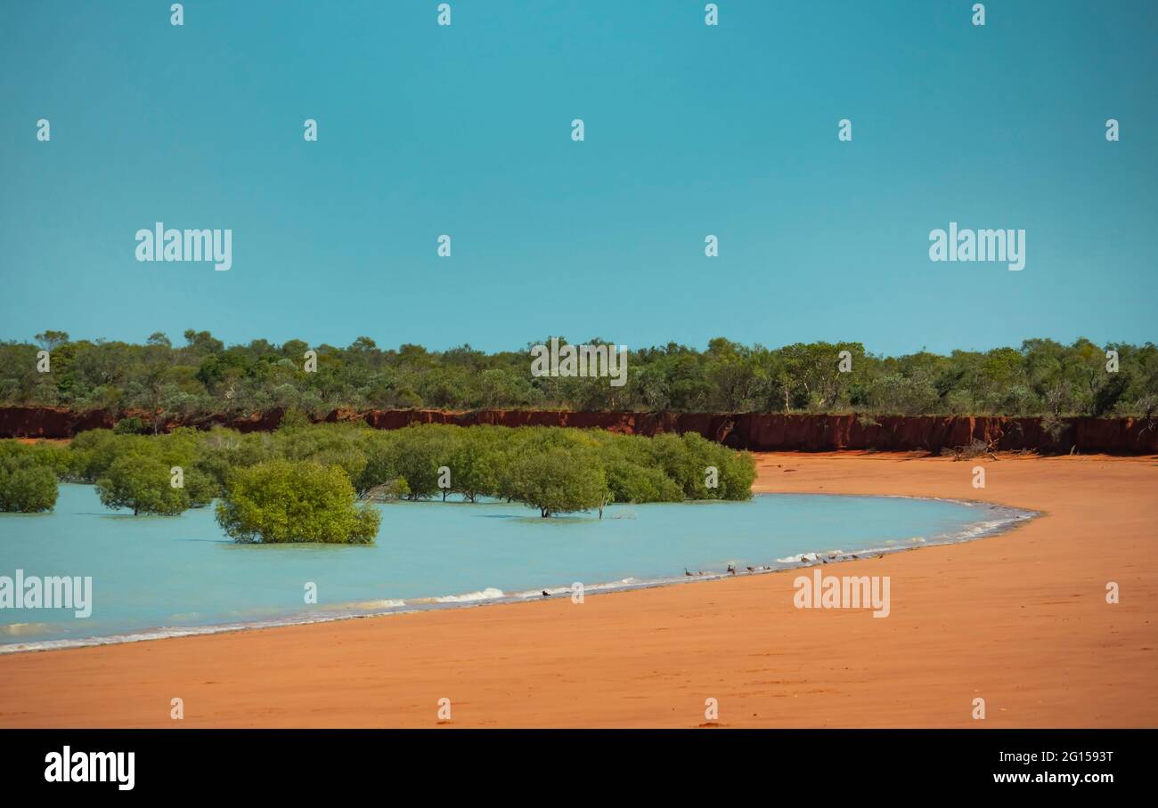 Acqua blu di sabbia rossa e mangrovie verdi a Roebuck Bay vicino a Broome Australia Occidentale con cielo blu e spazio per le copie Foto Stock