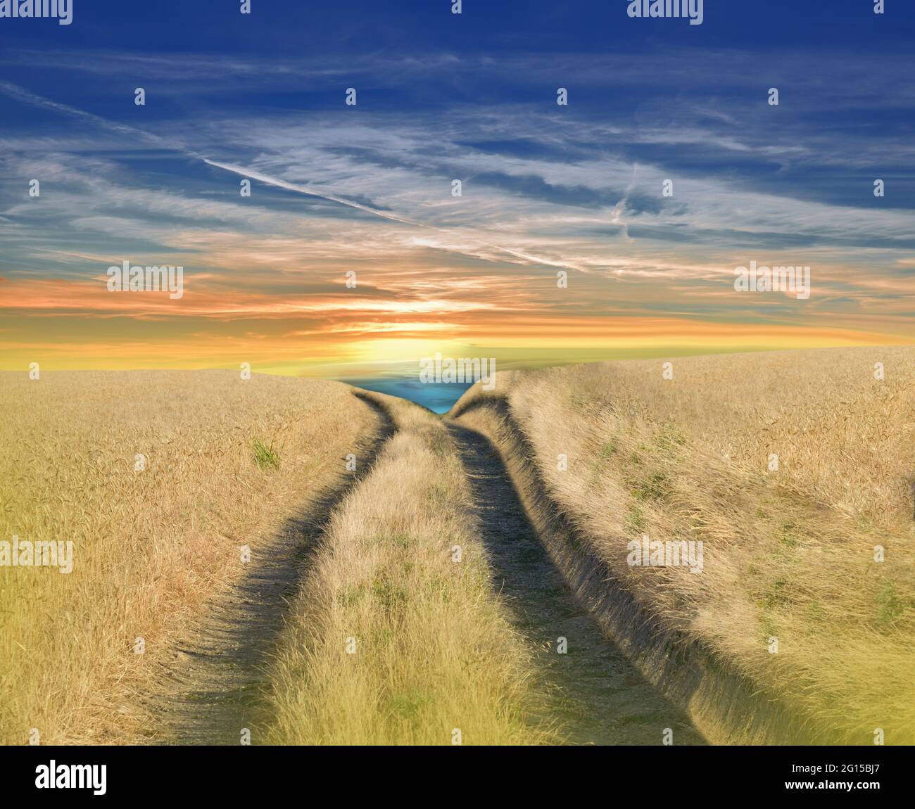 Bella natura tranquilla background.Creative Photography.Conceptual Photo.Fantasy Art.Artistic Wallpaper.Golden Wheat Field at Sunset.Blue Sky, nuvole Foto Stock