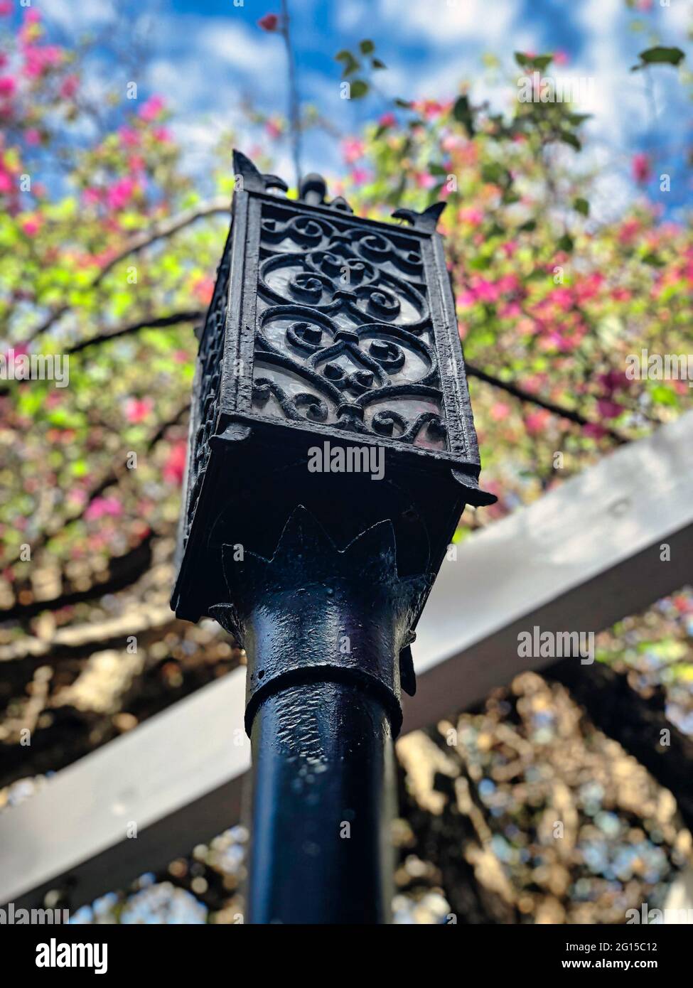 Black Iron Light Post circondato da fiori: Un incredibile palo luminoso in ferro nero guardando verso l'alto con fiori rosa su steli sopra sfocati Foto Stock