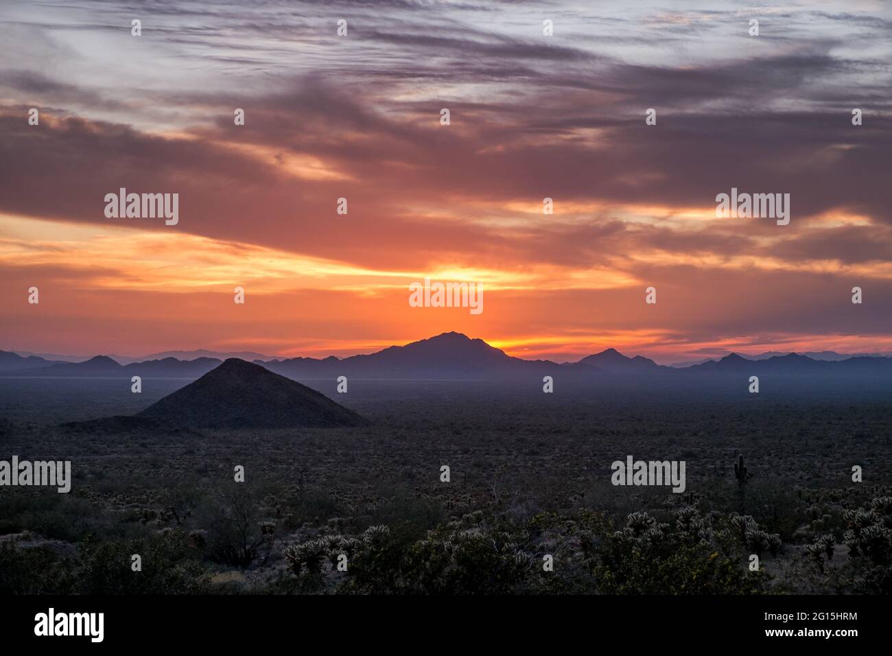 Yuma Desert, tramonto al Kofa National Widlife Refuge, Arizona, USA Foto Stock