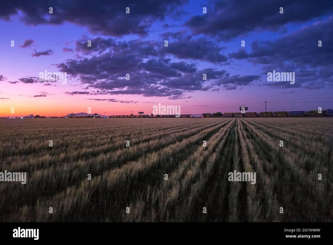 Nuvole al tramonto su un campo di grano fuori Tucson, Arizona, Stati Uniti Foto Stock