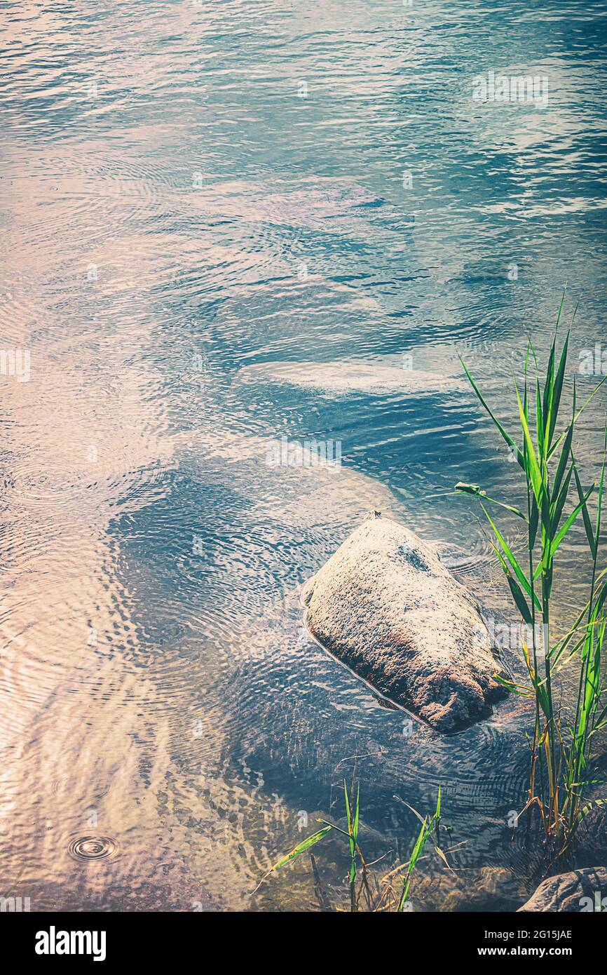 Grandi pietre di roccia giacciono sott'acqua in un lago limpido e trasparente. Pietra verde nel lago sotto l'acqua sovrascresciuta di muschio. Foto Stock