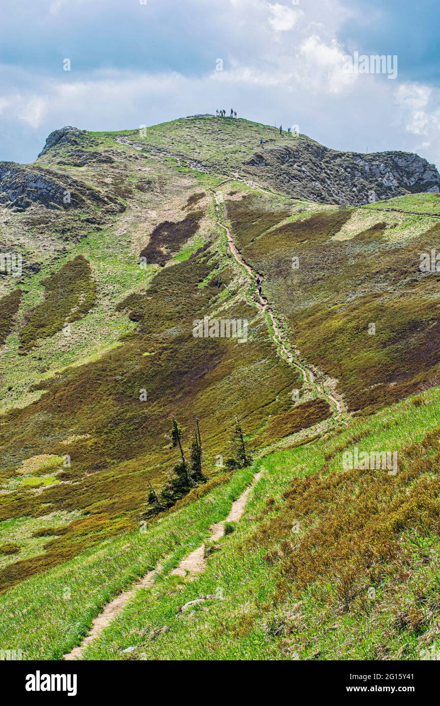Turisti sulla collina di Chleb, Little Fatra, repubblica Slovacca. Tema escursionistico. Scena naturale stagionale. Foto Stock