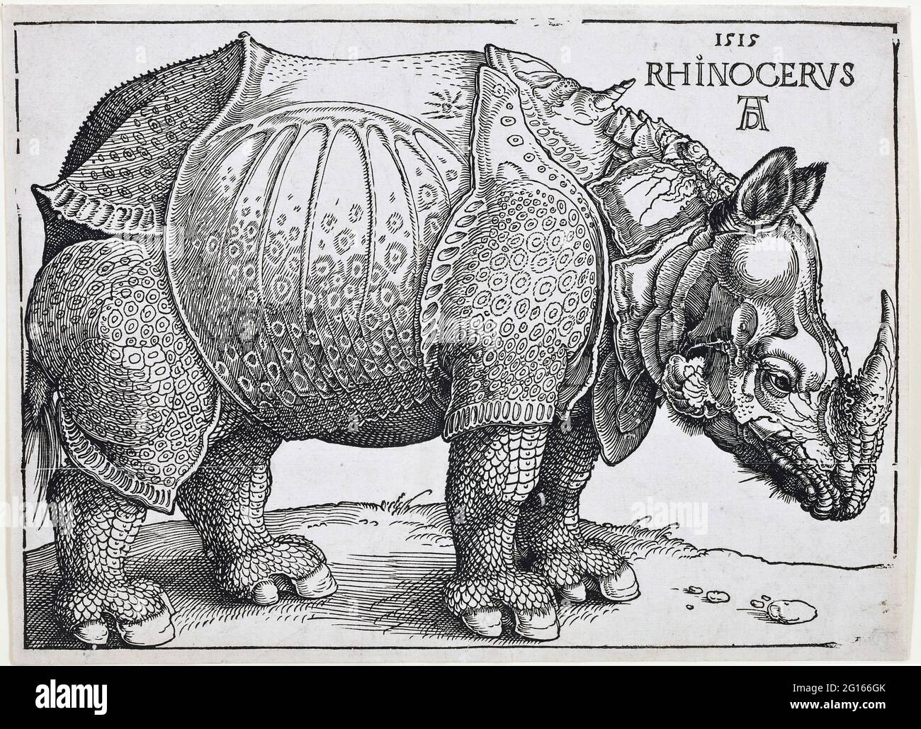 Albrecht Dürer - il rinoceronte 01 Foto Stock