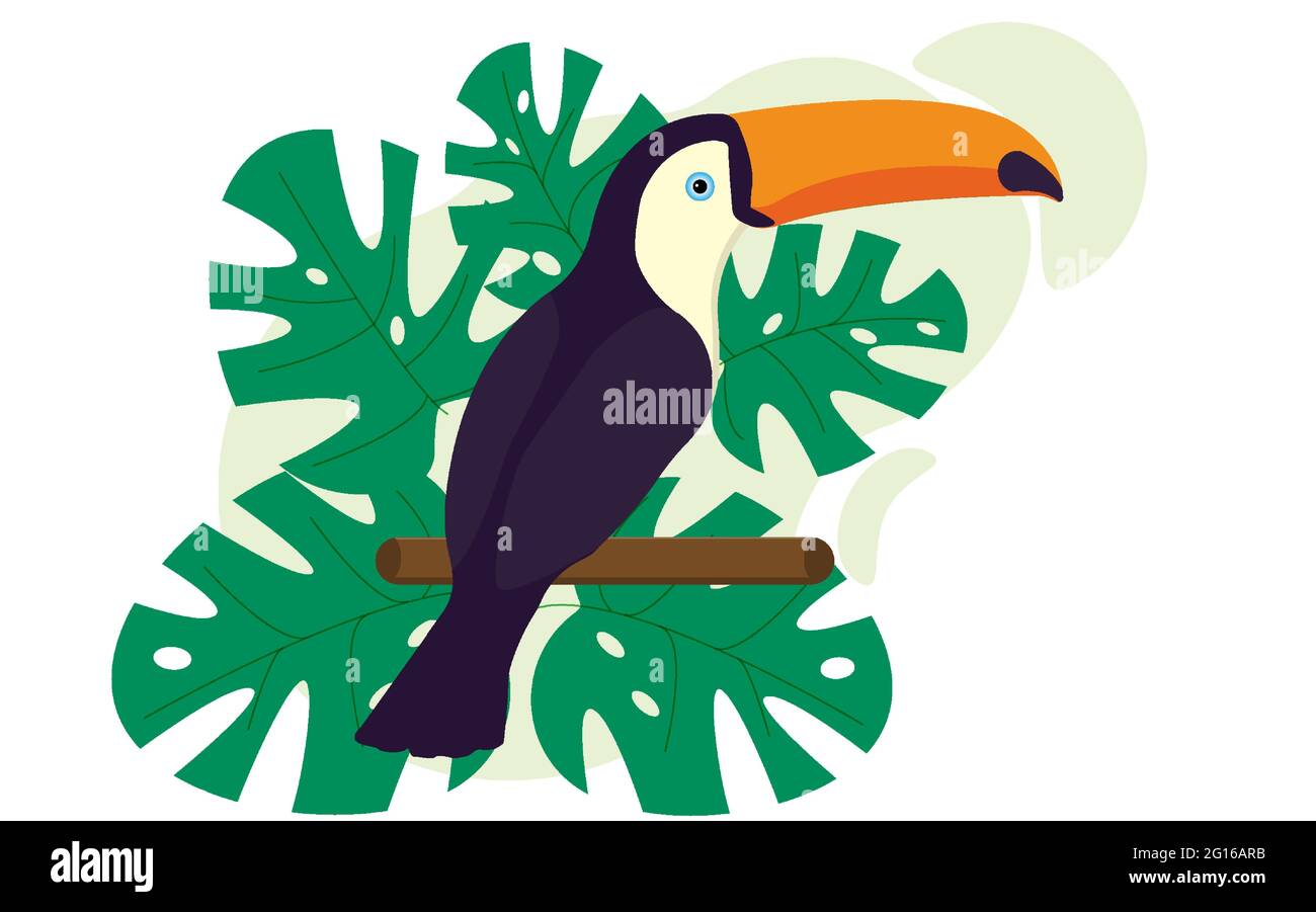 Toucan, uccelli esotici, monstera, uccello di paradiso. Illustrazione Vettoriale
