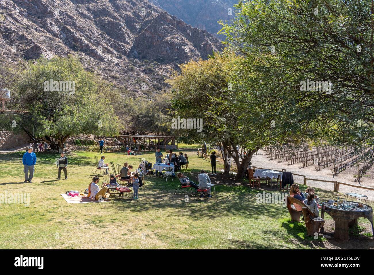 Le famiglie potranno gustare un pranzo al sacco e un bel tempo in un vigneto a Cafayate, provincia di Salta, Argentina Foto Stock